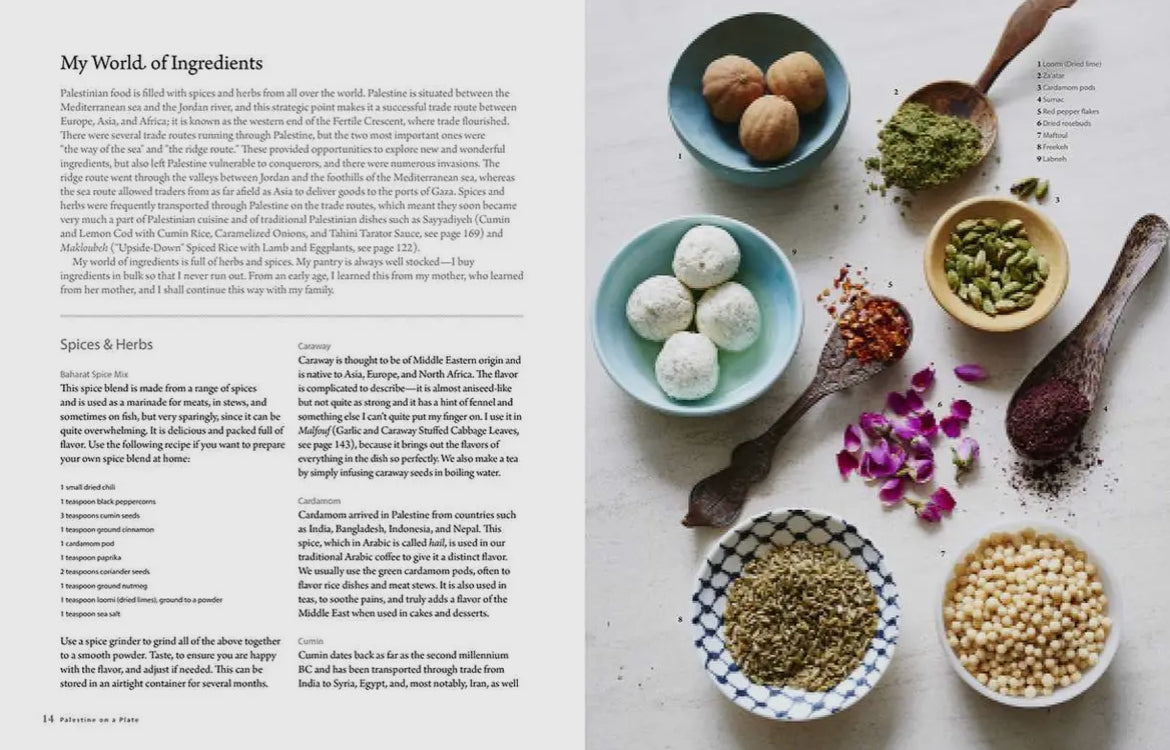 Palestine on a Plate by Joudie Kalla